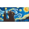 M11_Diamond_painting_-_Vincent_Van_Gogh_-_Sternenklare_Nacht_und_die_Katze