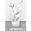 M11_Punktmalerei_-_Caipirinha