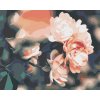 Malen nach Zahlen - Rosen