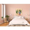 M3_Diamond_painting_-_Illustration_-_Zimmerpflanzen_2