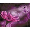 Diamond painting - Schmetterling und Gerbera