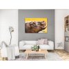 Diamond painting - Safari - Nilpferd