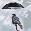 Malen nach Zahlen - Rabe unter einem Regenschirm