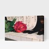 Malen nach Zahlen - Rose am Klavier