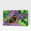 Malen nach Zahlen - Schmetterling auf einer lila Blume