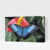 Malen nach Zahlen - Schmetterling auf einer roten Blume 2
