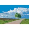 Malen nach Zahlen - Verlassener Baum