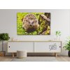 Diamond Painting - Igel, nachtaktive Kreatur