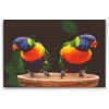 Diamond Painting - Regenbogenpapageien