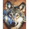 Diamond Painting - Jagdblick