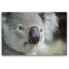Diamond Painting - Koala