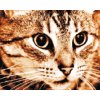 Diamond Painting - Tiger Katze