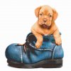 Diamond Painting - Welpe in einem Schuh