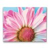 Diamond Painting - Sanfte rosa Blume