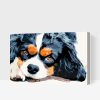 Malen nach Zahlen - Nachdenklicher Hund