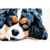 Malen nach Zahlen - Nachdenklicher Hund