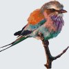 Malen nach Zahlen - Vogel auf einem Zweig