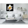 Diamond Painting - Narzissenblume