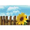 Malen nach Zahlen - Sonnenblume im Garten