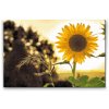 Diamond Painting - Sonnenblume auf der Wiese