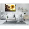 Diamond Painting - Sonnenblume auf der Wiese