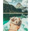 Diamond Painting - Igel Pokee