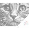 Punktmalerei - Der Blick einer Katze