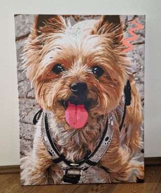 Süßer Yorkshire Terrier! 🐶 Male diesen kleinen Yorkie nach Zahlen aus. 🎨 Tolle Entspannung und eine schöne Deko für...