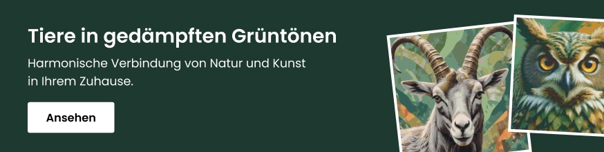 category_banner_big