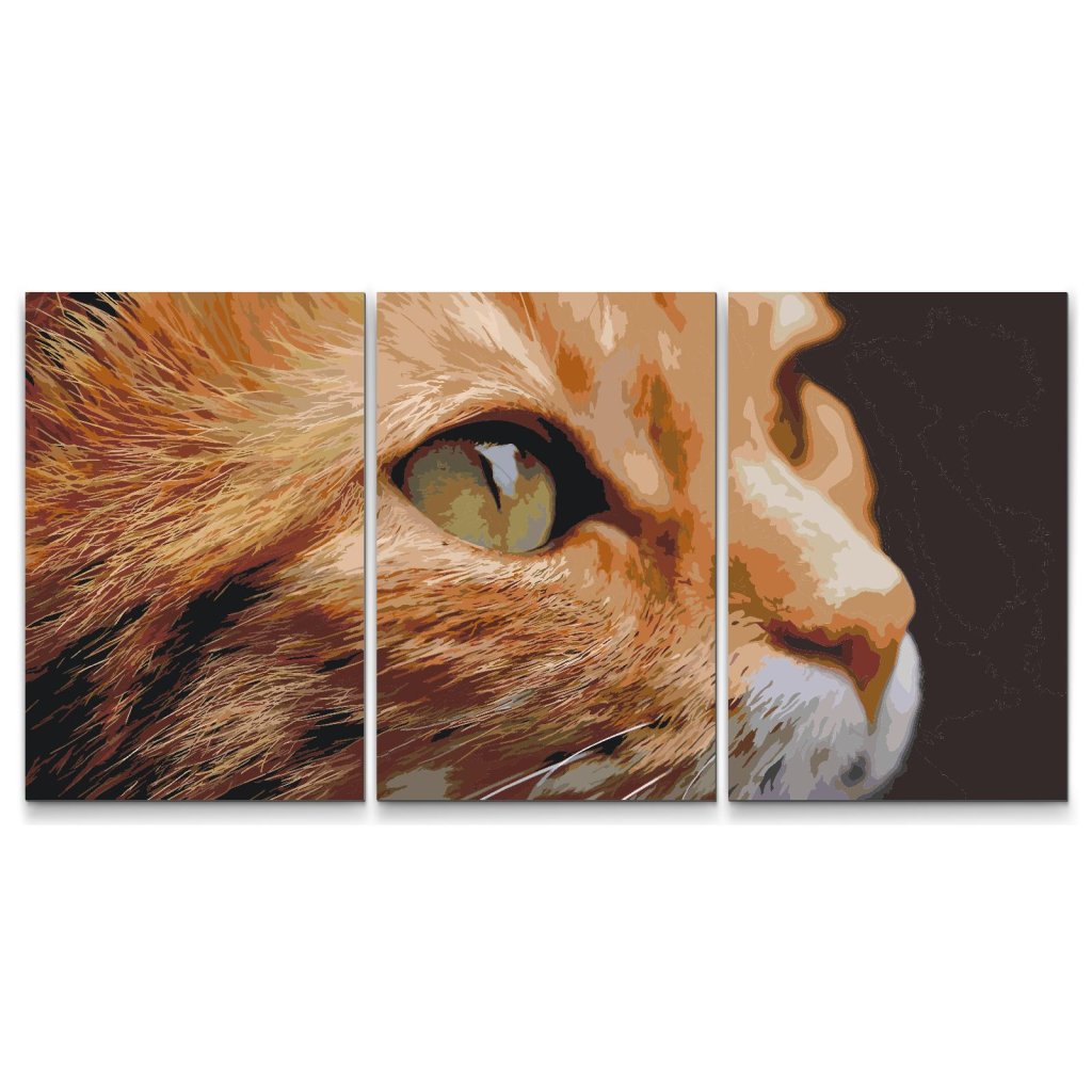 Malen_nach_Zahlen_Niedliche_Katze_Set_aus_3_Leinwanden_M7