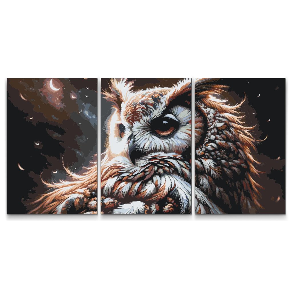 Malen_nach_Zahlen_Eule_und_der_Mond_Set_aus_3_Leinwanden_M7