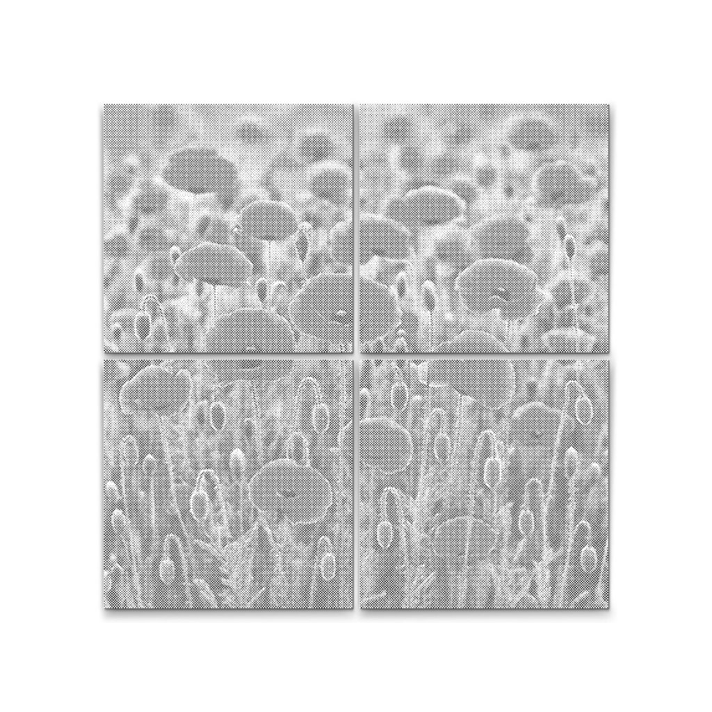 Punktmalerei_Mohn-Symphonie_Set_aus_4_Leinwanden_M7