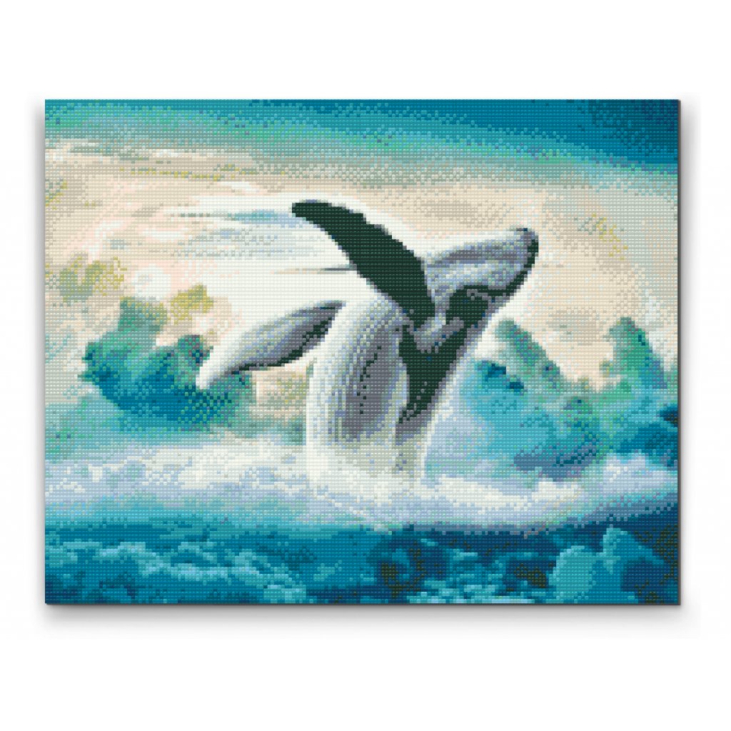Diamond painting - Wal in den Wolken
