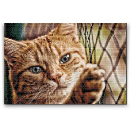 Diamond Painting - Katze am Zaun