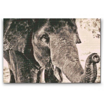Diamond Painting - Elefant in grauen Farben