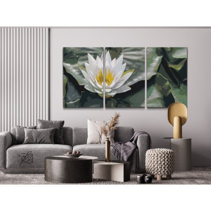 Malen nach Zahlen - Lotus, Symbol der Weisheit (3er-Set)