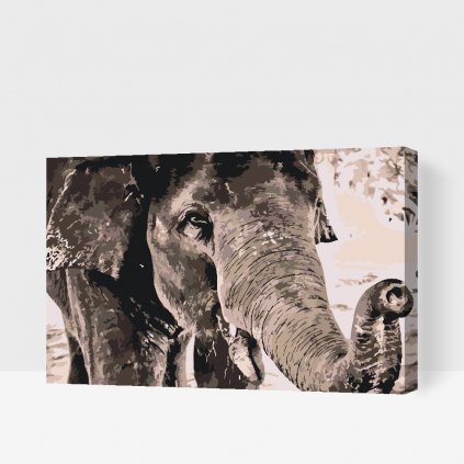 Malen nach Zahlen - Elefant in grauen Farben