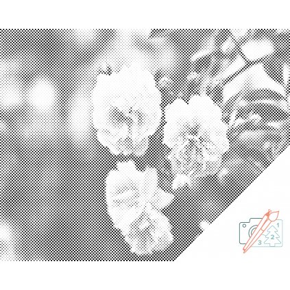 Punktmalerei - Blühende weiße Rosen