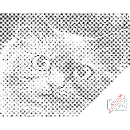 Punktmalerei - Katzenkopf 3