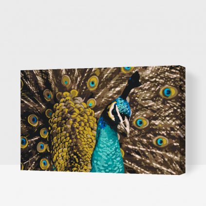 Malen nach Zahlen - Stolzer Pfau