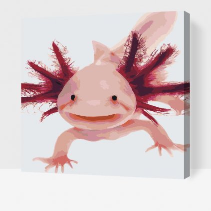Malen nach Zahlen - Axolotl 3