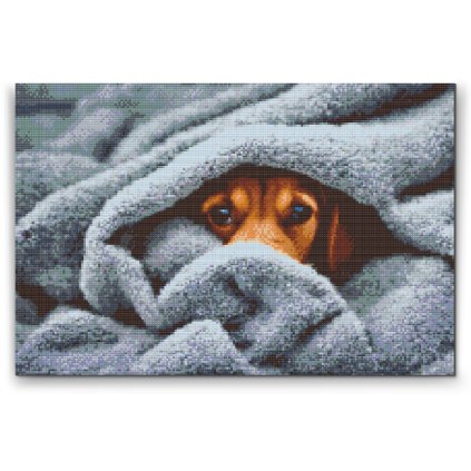 Diamond Painting - Hund unter der Decke 2