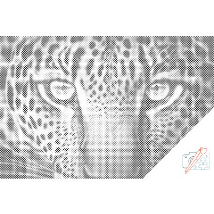 Punktmalerei - Leopard aus Nahsicht