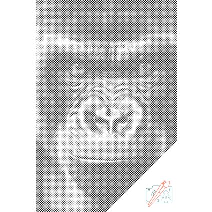 Punktmalerei - Diamond Painting - Gorilla-Blick