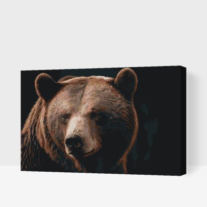 Malen nach Zahlen - Grizzlybär