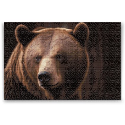 Diamond Painting - Grizzlybär