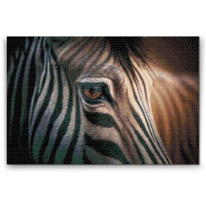 Diamond Painting - Zebra aus Nahsicht