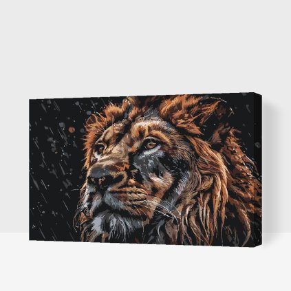 Malen nach Zahlen - Löwe im Regen