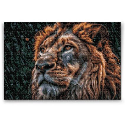 Diamond Painting - Löwe im Regen