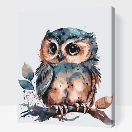Malen nach Zahlen - Eule mit großen Augen